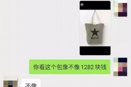 阳谷专业要账公司